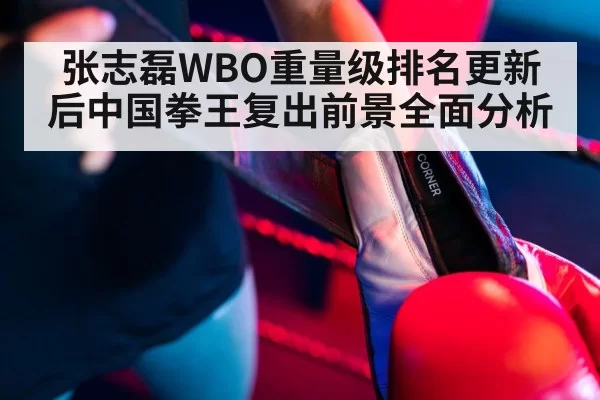 张志磊WBO重量级排名更新后中国拳王复出前景全面分析